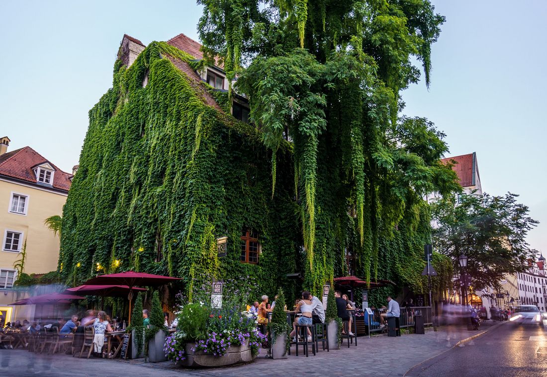 Efeubewachsenes Altstadthaus mit Biergarten und Gästen bei Abenddämmerung