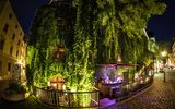 The Platzl Karree Boden & Bar with its ivy-covered facade in the evening in Munich