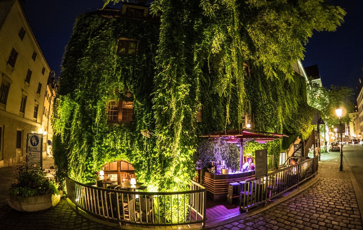 The Platzl Karree Boden & Bar with its ivy-covered facade in the evening in Munich