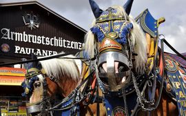 Horses during the procession of the Wiesnwirte in front of a tent at the Oktoberfest.