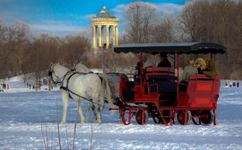 Horse-drawn sleigh ride in Munich's English Garden amid a white snowy landscape.