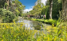 Teich an der Fischzucht Birnbaum, mit mehreren Personen am Ufer marschierend.