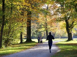 Herbst_im_Englischem_Garten___c__Muenchen_Tourismus__Tommy_Loesch.jpg